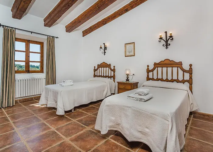 Toni Mosca Pollença